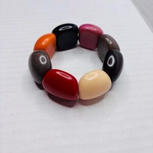 Vintage Tagu Nut Vegetable Ivory Organic Multicolor Stretch Bracelet